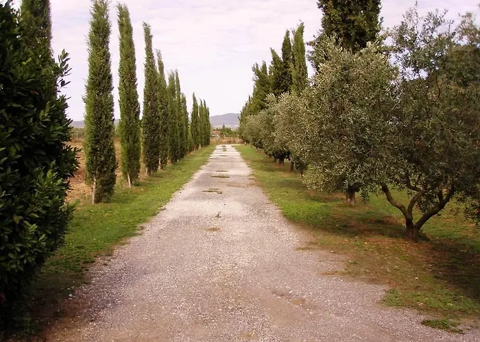 مزرعة للإقامة Agriturismo Il Pino سكارلينو